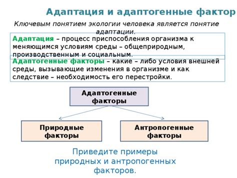 Адаптогенные свойства и роль в адаптации организма