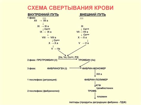 Активация процессов свертывания крови у маленького пациента