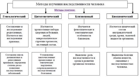 Алгоритмы и методы, применяемые в хлука