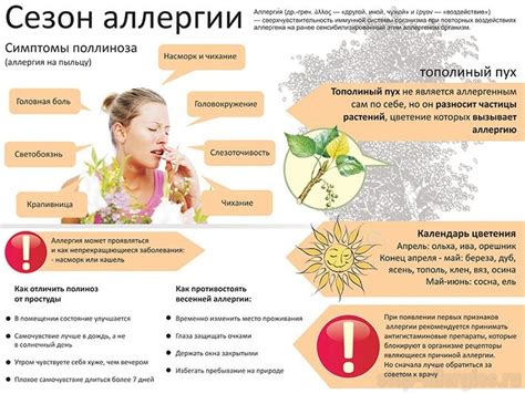 Аллергическая реакция: как распознать и предотвратить ее появление