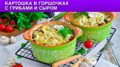 Альтернатива мясу: вегетарианское жаркое с овощами и грибами