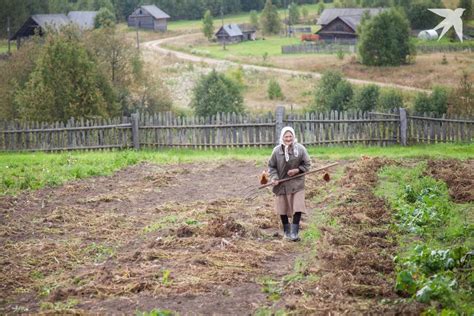 Альтернативные подходы к уходу за огородом без применения химических средств