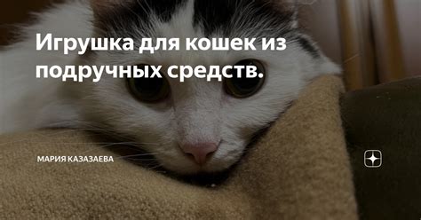 Альтернативные разъяснения сновидения о напоении кошечки водой из длани