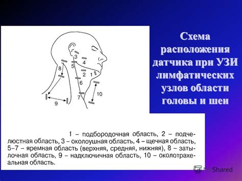 Альтернативные способы улучшения состояния при воспалении лимфатических узлов в области глотки