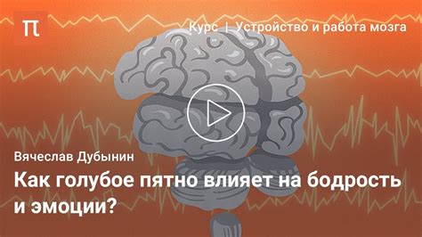 Альтернативные способы устранения ашкюди: неординарные, но эффективные