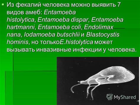 Альтернативы для лечения инфекции Entamoeba coli у детей