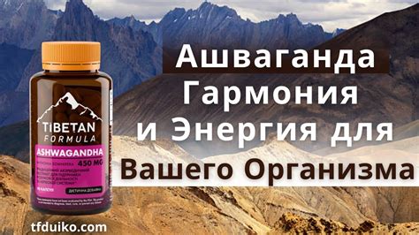 Амарант – энергия и тонус для вашего организма