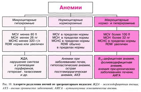 Анализ крови и показатели, характеризующие развитие гемолитической формы анемии