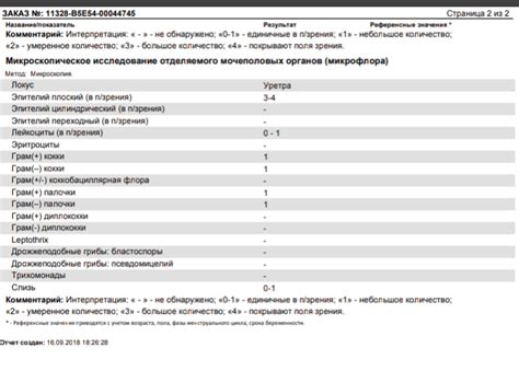 Анализ снов: роль экспертов и справочников в расшифровке символов ночных грез