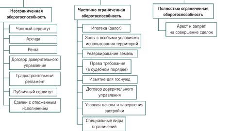 Анализ факторов, оказывающих влияние на упругость матрасов