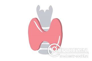 Аномалии в функционировании щитовидной железы и их влияние на организм
