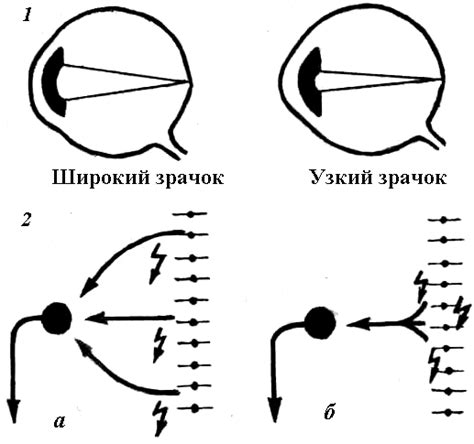 Аномальная активность нервных рецепторов