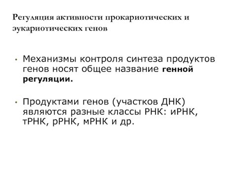 АрНК: механизмы контроля активности генов в организме