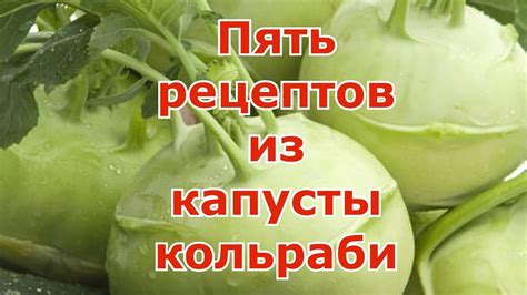 Ароматная и полезная капустная кольраби: рецепты здорового питания