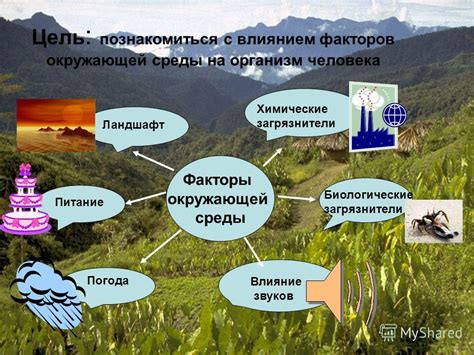 Атмосферная грязь: воздействие на здоровье человека