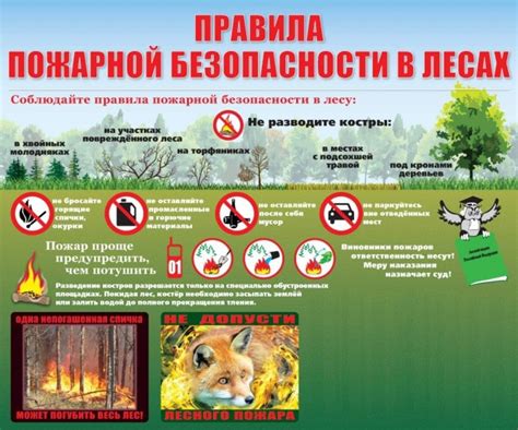 Безопасность в лесу: экспертные меры предосторожности и рекомендации