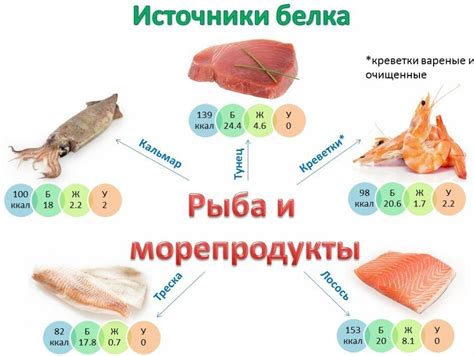 Белки как основные строительные единицы организма