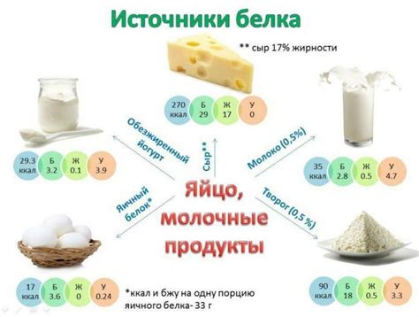 Белковая пища: эффективный способ управления аппетитом