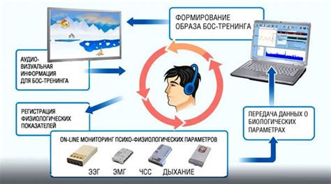 Биологическая связь