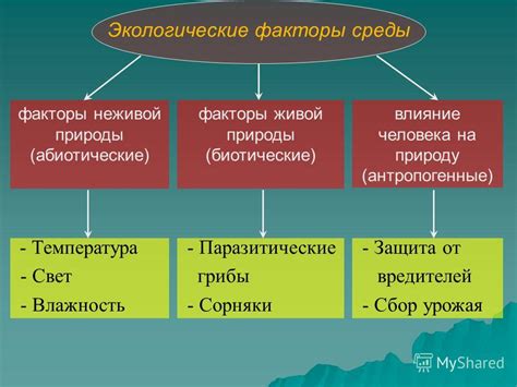 Биологические факторы, определенные естественными различиями