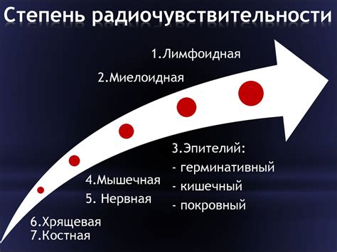 Биологическое действие эндорфинов: механизмы и эффекты