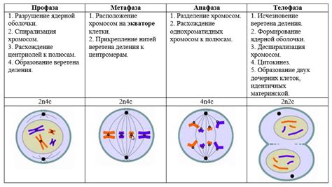 Биологическое значение