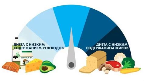 Благотворное воздействие умеренного потребления жировых продуктов на работу ЖКТ