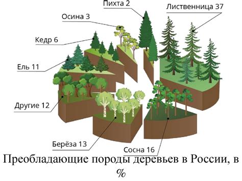 Богатство животного и растительного мира и его значимость для окружающей среды