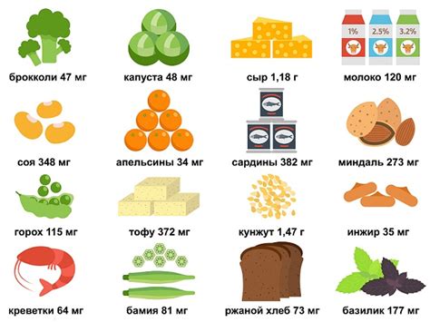 Богатые источники витаминов и минералов в мясе