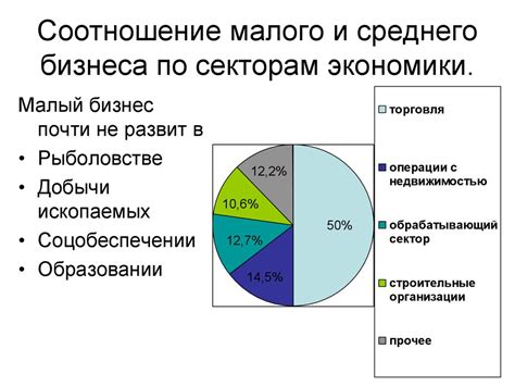 Важная функция малого и среднего бизнеса в экономике