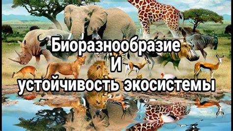 Важность взаимосвязи между разными уровнями жизненной организации: от здоровья до экосистем