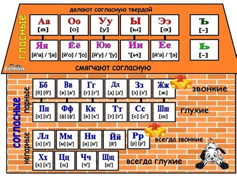 Важность осознания звуков с гласными и согласными для эффективной языковой коммуникации
