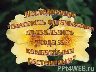 Важность правильного ухода за эпидермисом при аллергических проявлениях