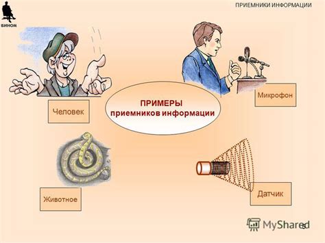 Важность приемников информации: примеры с их неполадками или дефицитом