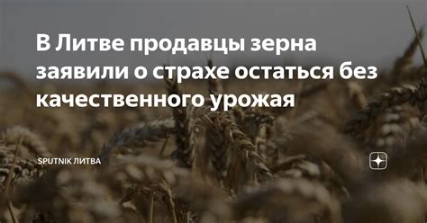 Важность продолжительности дня для формирования качественного урожая