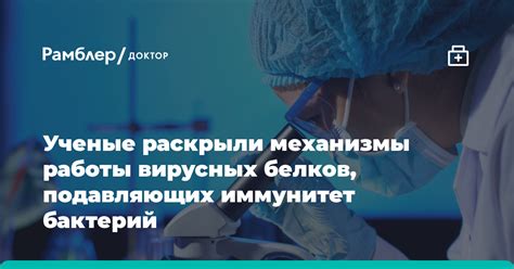 Важность рибосомальной трансляции в процессе формирования вирусных белков