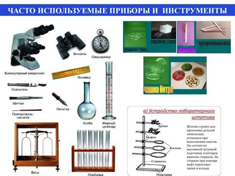 Важные инструменты и оборудование для проведения экспериментов в биологии