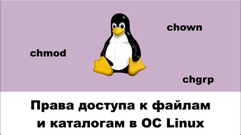 Важные моменты перед получением полных прав доступа в Astra Linux