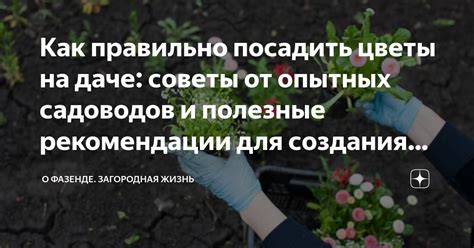 Важные рекомендации и советы для эффективного использования электронной почты