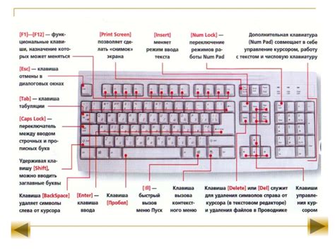 Варианты восстановления расположения клавиш WASD на клавиатуре