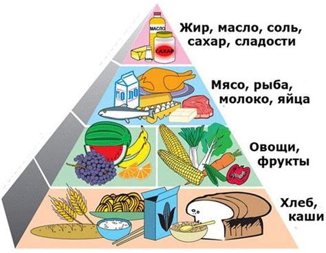 Вариативность питания: разнообразие продуктов и блюд для сбалансированного рациона