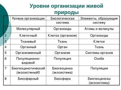 Взаимодействие различных уровней организации жизни: от наследственности до окружающей среды