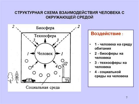 Взаимодействие человека с окружающей средой