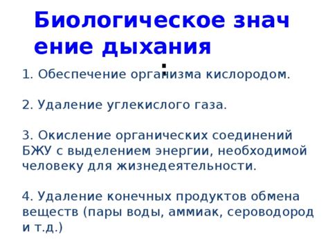 Взаимосвязь биологических процессов с выделением углекислого газа