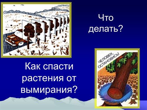 Взаимосвязь биологических систем: почему полное исчезновение растений представляет угрозу