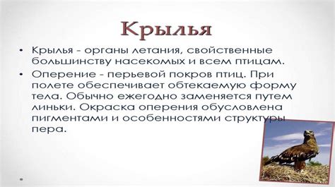 Взаимосвязь животных жиров и организма: важность понимания последствий
