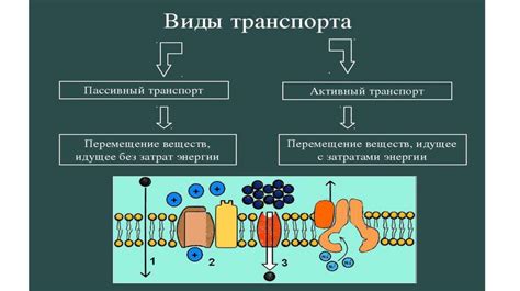 Взаимосвязь между структурой и способностью белков растворяться