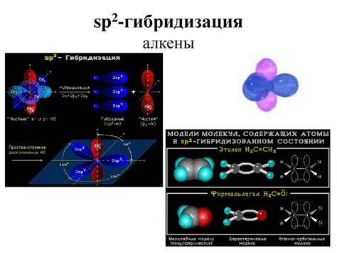 Взаимосвязь строения атомов и молекул с особенностями орбиталей