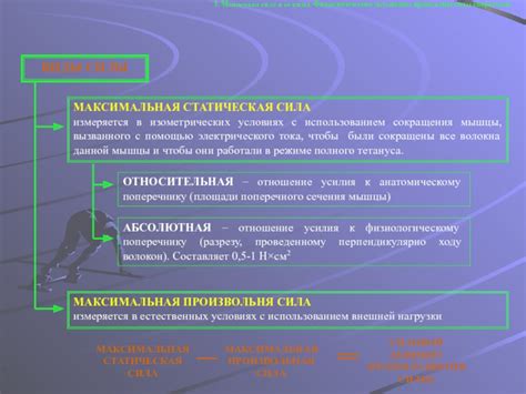 Виды проявления силы права: особенности и виды