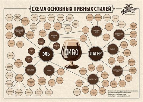 Виды хмеля и их роль в разнообразии пивных стилей